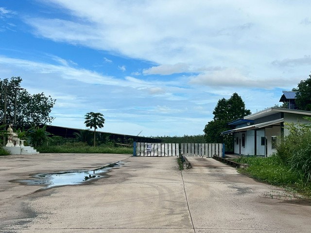 รูป J64504 ขายบ้านเดี่ยว ตำบลป่าเว อำเภอไชยา สุราษฎร์ธานี - รูปที่ 4/8