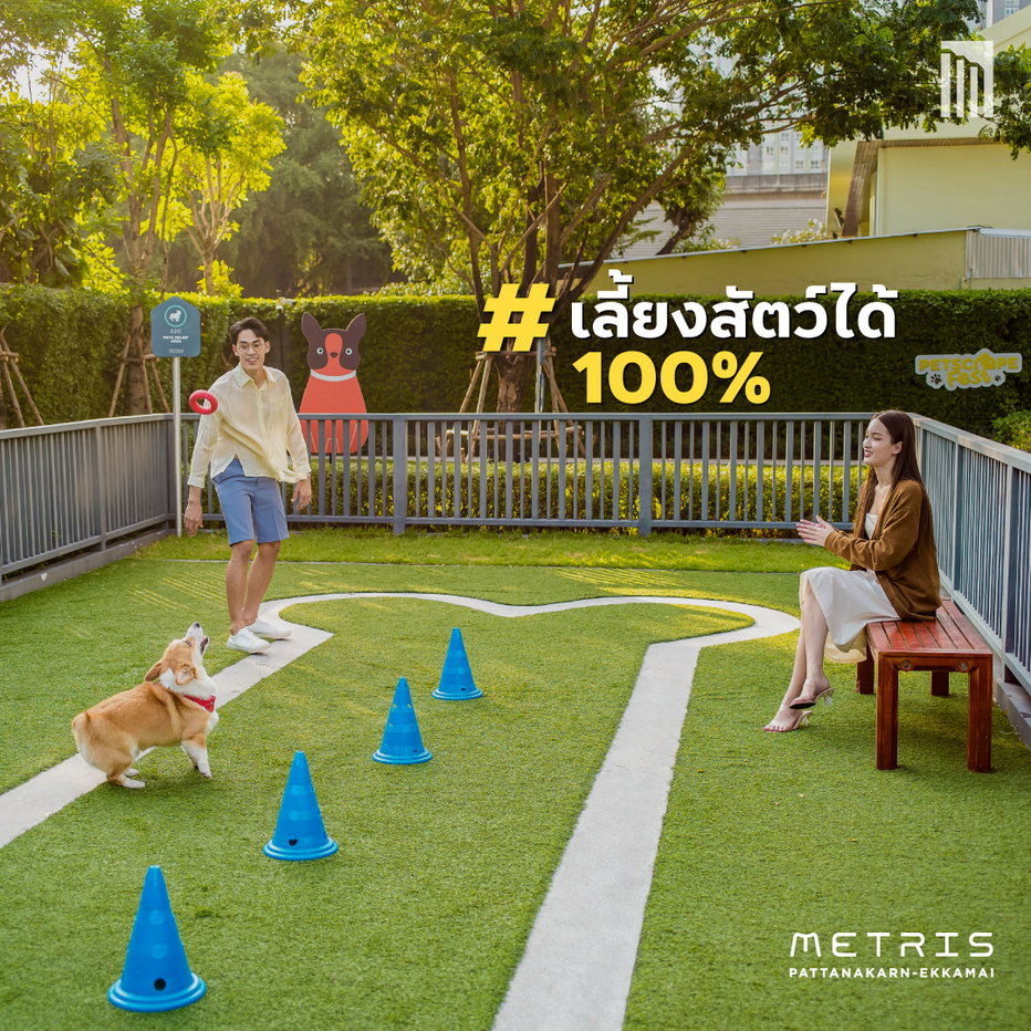 picture Pet Friendly Condo Metris Ekkamai Pattakarn High Floor - 12/13