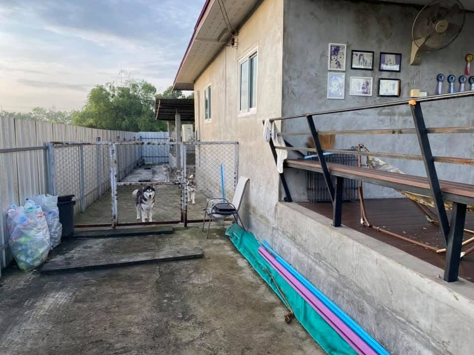 รูป 🏡 ขายบ้านสวนพร้อมที่ดินและโรงเก็บของ 107 ตรว. คลองสี่ ตะวันตก 23 คลองหลวง ปทุมธานี - รูปที่ 6/7