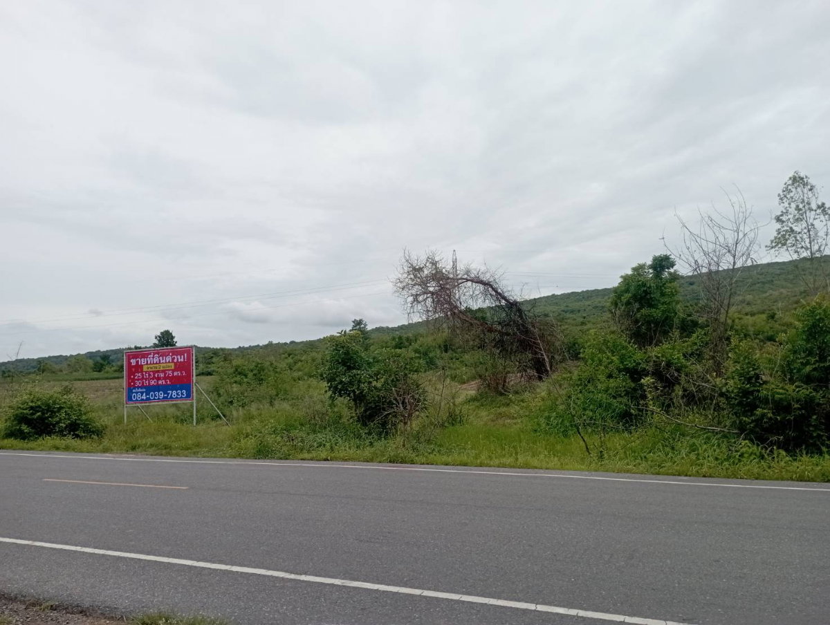 picture for sale 25 Rai 3 Ngan 75 Sq.wah - 3/4