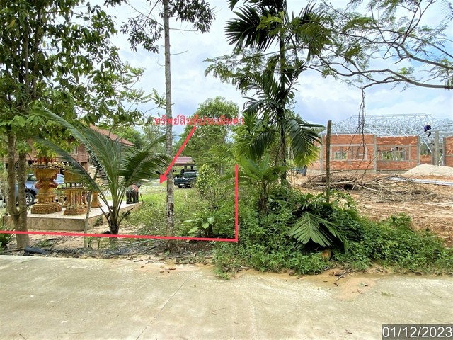 picture FOR SALE HOUSE PROPERTY 5201000 BAHT. - 3/8
