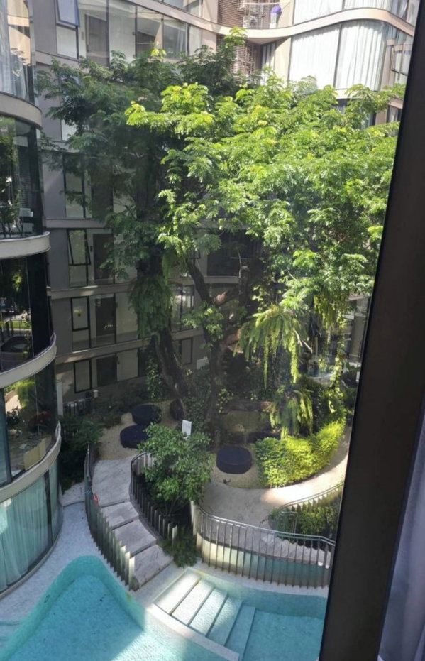 รูป ให้ เช่า คอนโด Fynn Asoke Sukhumvit 10 (ฟินน์ อโศก สุขุมวิท 10) 34 ตร.ม. 1 ห้องนอน 1 ห้องน้ำ ใกล้ BTS อโศก - MRT สุขุมวิท - รูปที่ 9/9