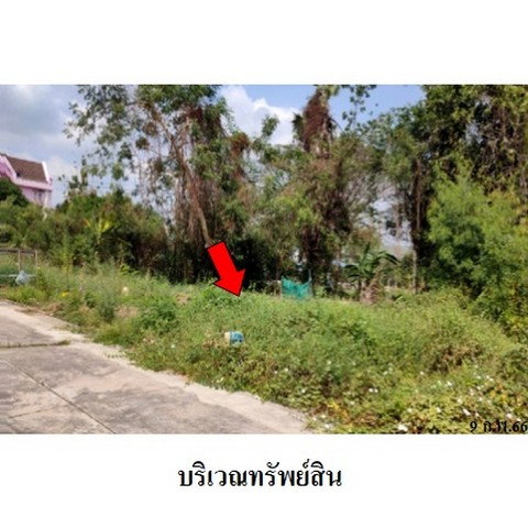 picture FOR SALE LAND PROPERTY 2243000 BAHT. - 6/8