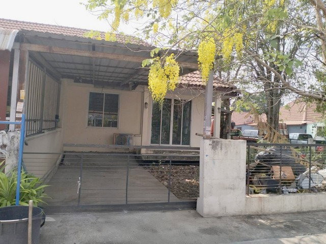 รูป J104 ขายบ้านเดี่ยว หมู่บ้านเอกวัฒนา พุทธมณฑลสาย 4 ตำบล อ้อมน้อย อำเภอกระทุ่มแบน สมุทรสาคร - รูปที่ 1/8
