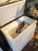 listing thumbnail image 1