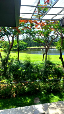 เช่าบ้านเดี่ยว กรุงเทพมหานคร : ให้เช่าตึกพร้อมที่ดิน วิวสนามกอล์ฟเเละสวนสวย บรรยากาศพรีเมียม