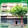 listing thumbnail image 61