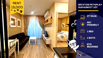 Condos for rent BTS Bearing : 🐶🐱 Pet-friendly condo at Brixton Sukhumvit 107 ✨ 1BR ready to move in, near BTS Bearing with pet play area 🌳 Only 15K/month 🏡