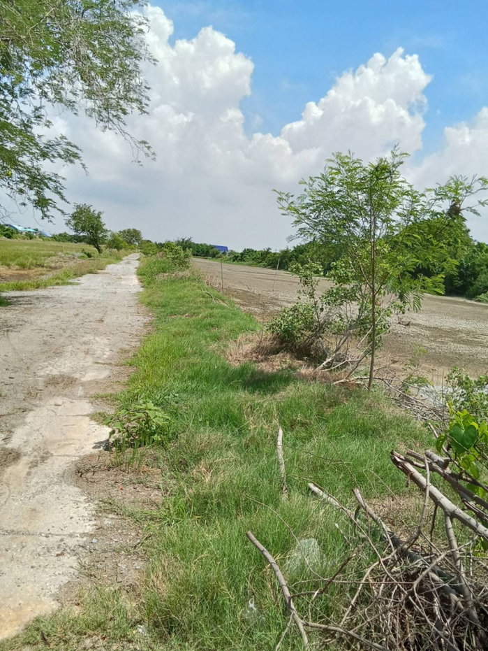 รูป ขาย ที่ดิน จ.สมุทรปราการ อ.บางบ่อ 62 ไร่ 3 งาน 30 ตรว - รูปที่ 4/4