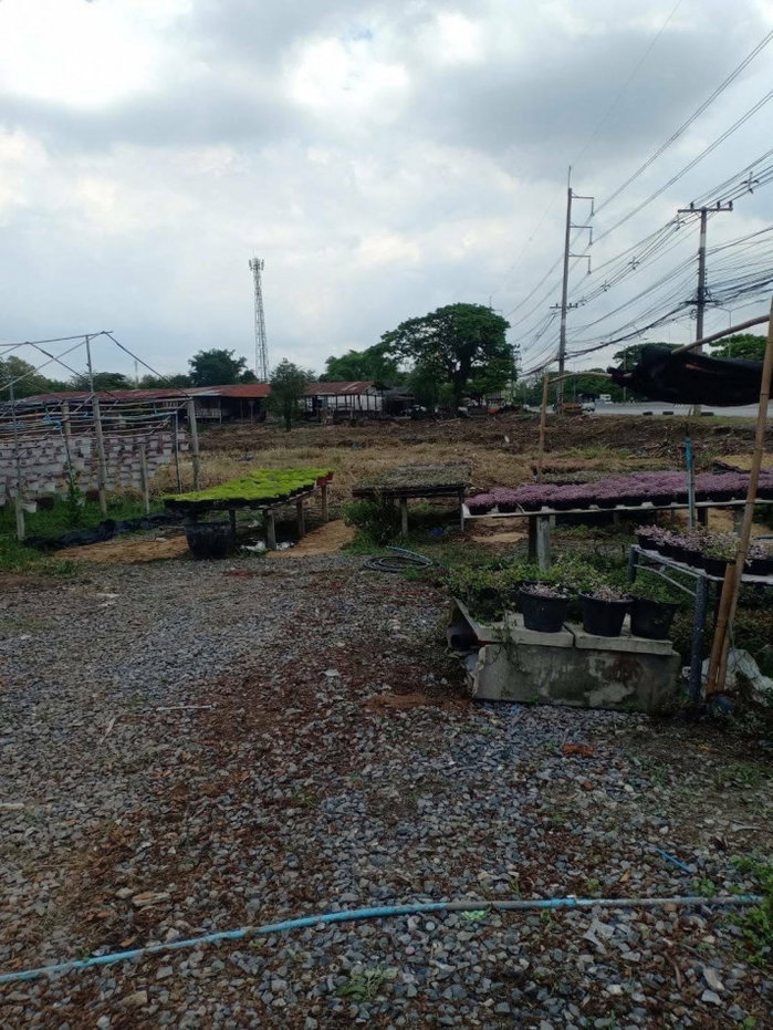 รูป ขาย ที่ดินเปล่า ติดถนนธัญบุรี คลอง 9 (ขาออก) จ.ปทุมธานี เนื้อที่รวม 79 ไร่ 1 งาน 38 ตารางวา - รูปที่ 3/5