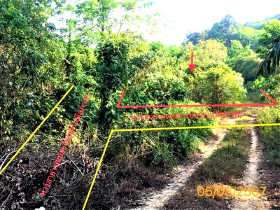 ขายที่ดิน : J10673 ขายที่ดิน ตำบล แม่นางขาว อำเภอ คุระบุรี พังงา