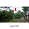 listing thumbnail image 6