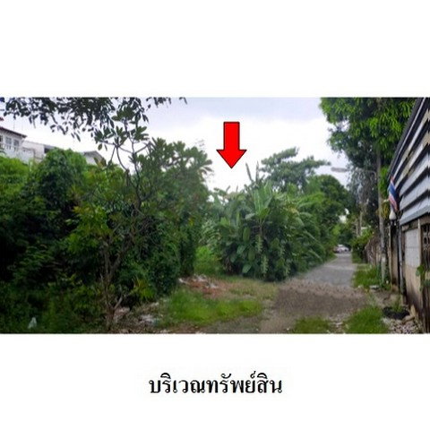 รูป Z4T0556 ขายที่ดิน ตำบล ตลาดขวัญ อำเภอ เมืองนนทบุรี จังหวัด นนทบุรี - รูปที่ 7/8