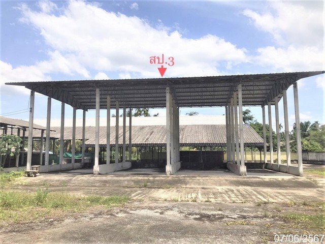 รูป J10252 ขายบ้านเดี่ยว ตำบล เขาโร อำเภอทุ่งสง นครศรีธรรมราช - รูปที่ 3/8
