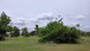 listing thumbnail image 16