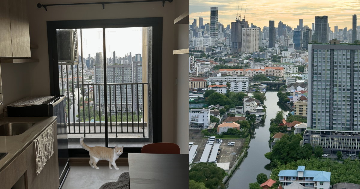picture Pet Friendly Condo Metris Ekkamai Pattakarn High Floor - 9/13