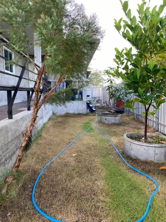 รูป 🏡 ขายบ้านสวนพร้อมที่ดินและโรงเก็บของ 107 ตรว. คลองสี่ ตะวันตก 23 คลองหลวง ปทุมธานี - รูปที่ 5/7