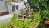 listing thumbnail image 31