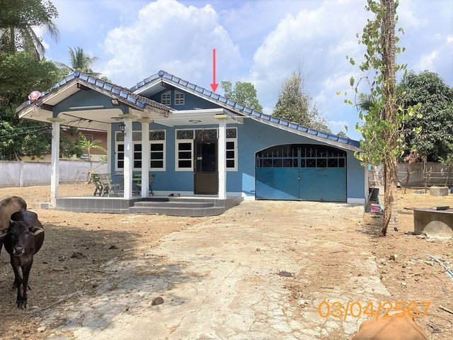 รูป J15444 ขายบ้านเดี่ยว เหนือคลอง อำเภอเหนือคลอง กระบี่ - รูปที่ 8/8