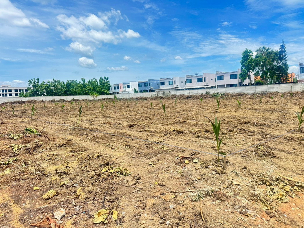 picture Land for sale, 4 rai, zoned red, Khlong Mai Subdistrict, Sam Phran District, Nakhon Pathom Province. - 1/8