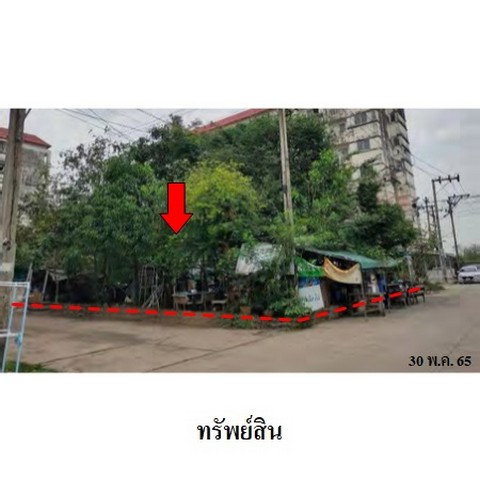 รูป Z2T2632 ขายที่ดิน โครงการ บ้านชายน้ำ-จามจุรี ตำบล บางรักพัฒนา อำเภอ บางบัวทอง จังหวัด นนทบุรี - รูปที่ 7/8