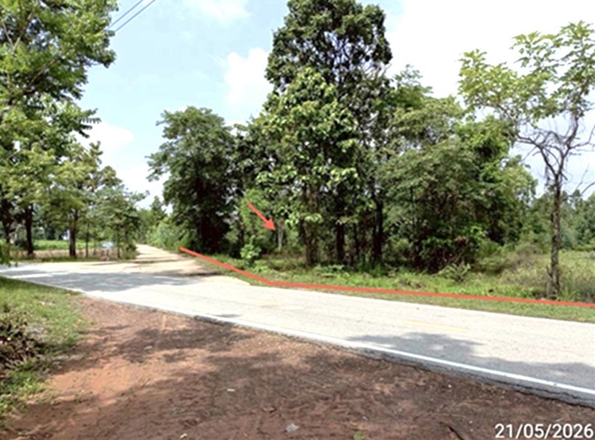 รูป ที่ดินว่างเปล่า 475 ตร.วา บรบือ มหาสารคาม 1M - รูปที่ 8/16
