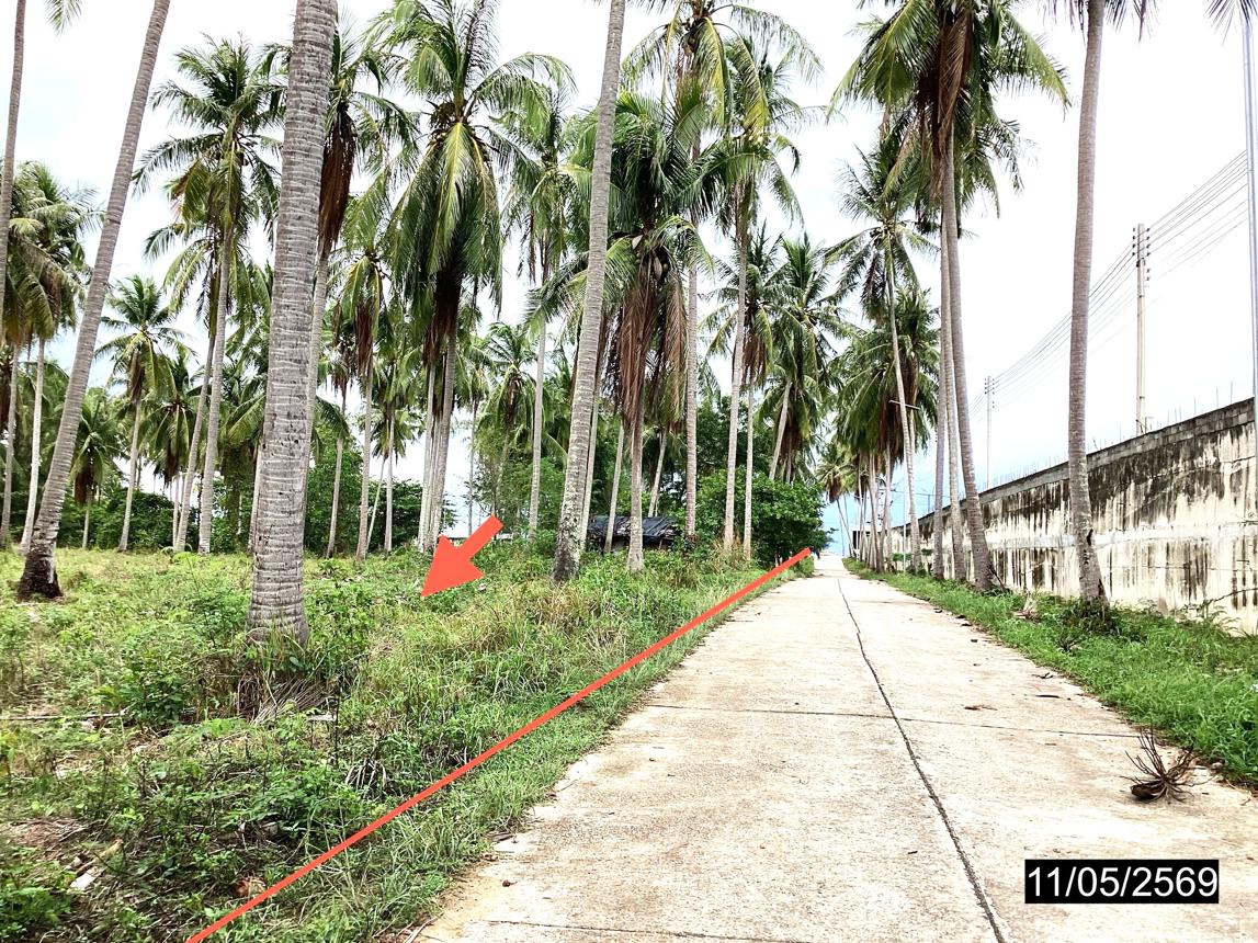 รูป ที่ดินว่างเปล่า 1920 ตร.วา หลังสวน ชุมพร 2.9M - รูปที่ 18/24