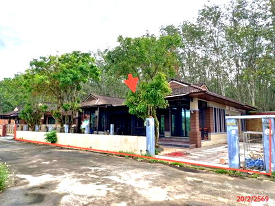บ้านเดี่ยว นครศรีธรรมราช : บ้านเดี่ยว 120.6 ตร.วา สวยอำภา ฉวาง นครศรีธรรมราช 2.9M