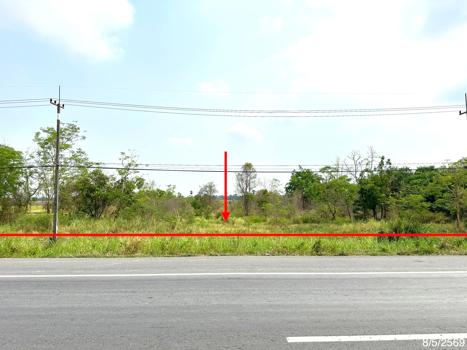 รูป ที่ดินว่างเปล่า 5639 ตร.วา เมืองพิษณุโลก พิษณุโลก 57.3M - รูปที่ 13/16