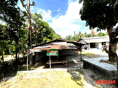 บ้านเดี่ยว นครศรีธรรมราช : บ้านเดี่ยว 69.2 ตร.วา เฉลิมพระเกียรติ นครศรีธรรมราช 574,000