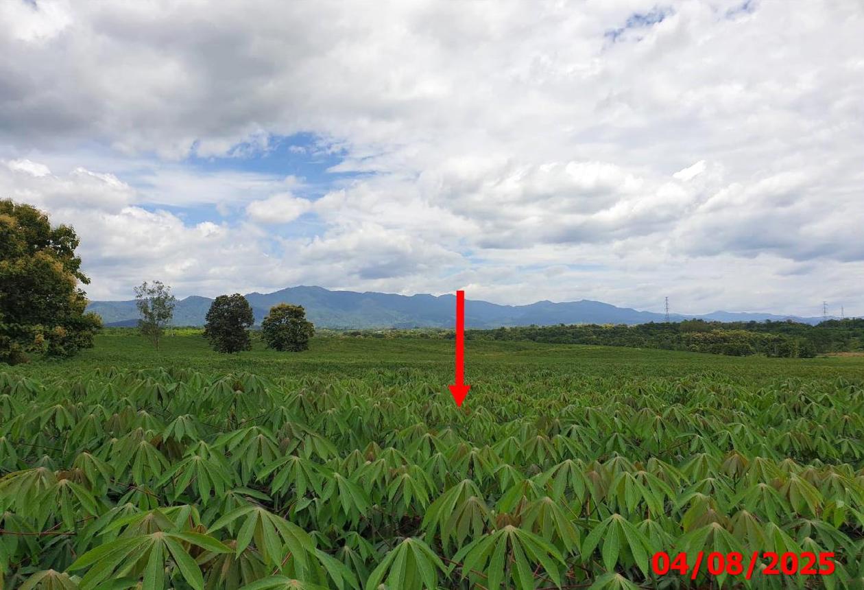 picture LAND 63787 Sq.w. Hang Chat Lamphang for 28.7M - 18/24