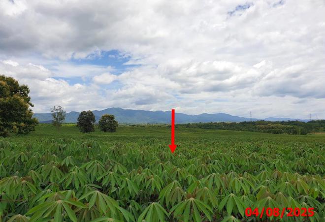 picture LAND 63787 Sq.w. Hang Chat Lamphang for 28.7M - 8/24