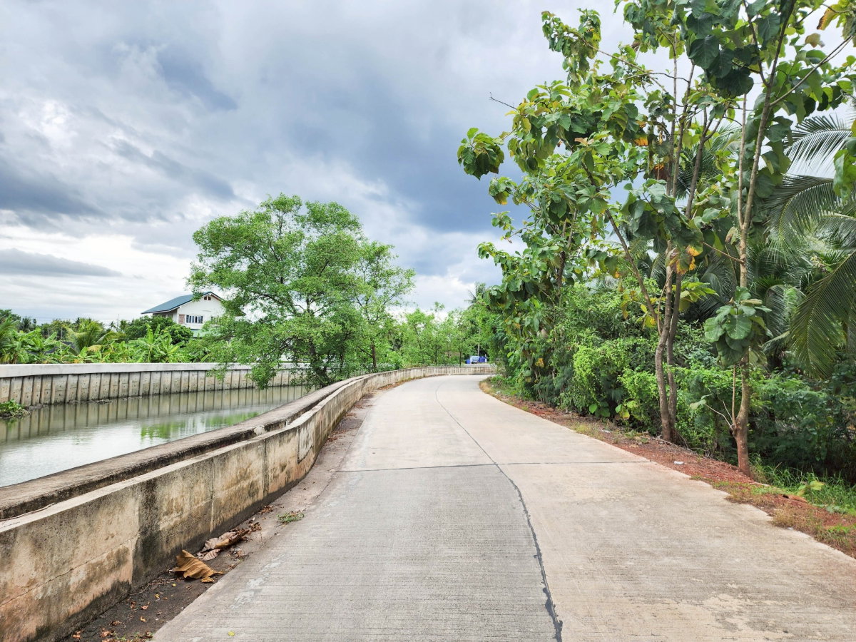 รูป ขายด่วน! ที่ดินพร้อมสวนมะพร้าวบ้านแพ้วกว่า 8 ไร่! ราคาดี ในหนองนกไข่ กระทุ่มแบน สมุทรสาคร ผังเมืองเขียวลาย หน้ากว้าง 80 เมตร ลึก 160 เมตร | #TPI-2309 - รูปที่ 19/20