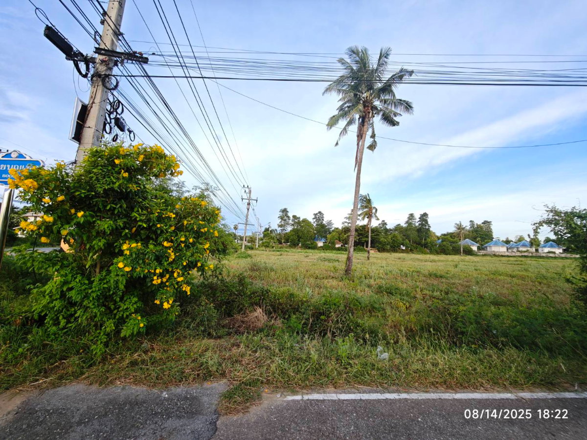 รูป ขายที่ดิน สวย ติดถนน ห่างจาก ชายหาด ปากน้ำปราณ ปราณบุรี 2 กิโลเมตร จำนวน 4 ไร่ - รูปที่ 5/5