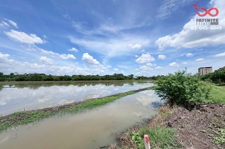 รูป ขายที่ดิน 1 ไร่ คลองห้าตะวันออก คลองหลวง  ถนนรังสิต–นครนายก แปลงสวย ทำเลดี - รูปที่ 4/5