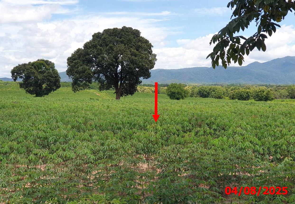 picture LAND 63787 Sq.w. Hang Chat Lamphang for 28.7M - 16/24