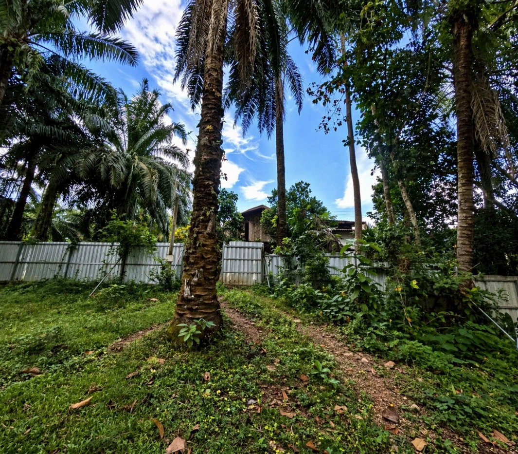 picture Rare Land Opportunity with Natural Mineral Spring (Certified)  - 4/6