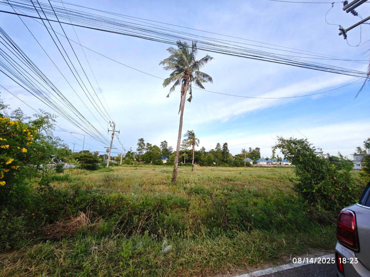 รูป ขายที่ดิน สวย ติดถนน ห่างจาก ชายหาด ปากน้ำปราณ ปราณบุรี 2 กิโลเมตร จำนวน 4 ไร่ - รูปที่ 2/5