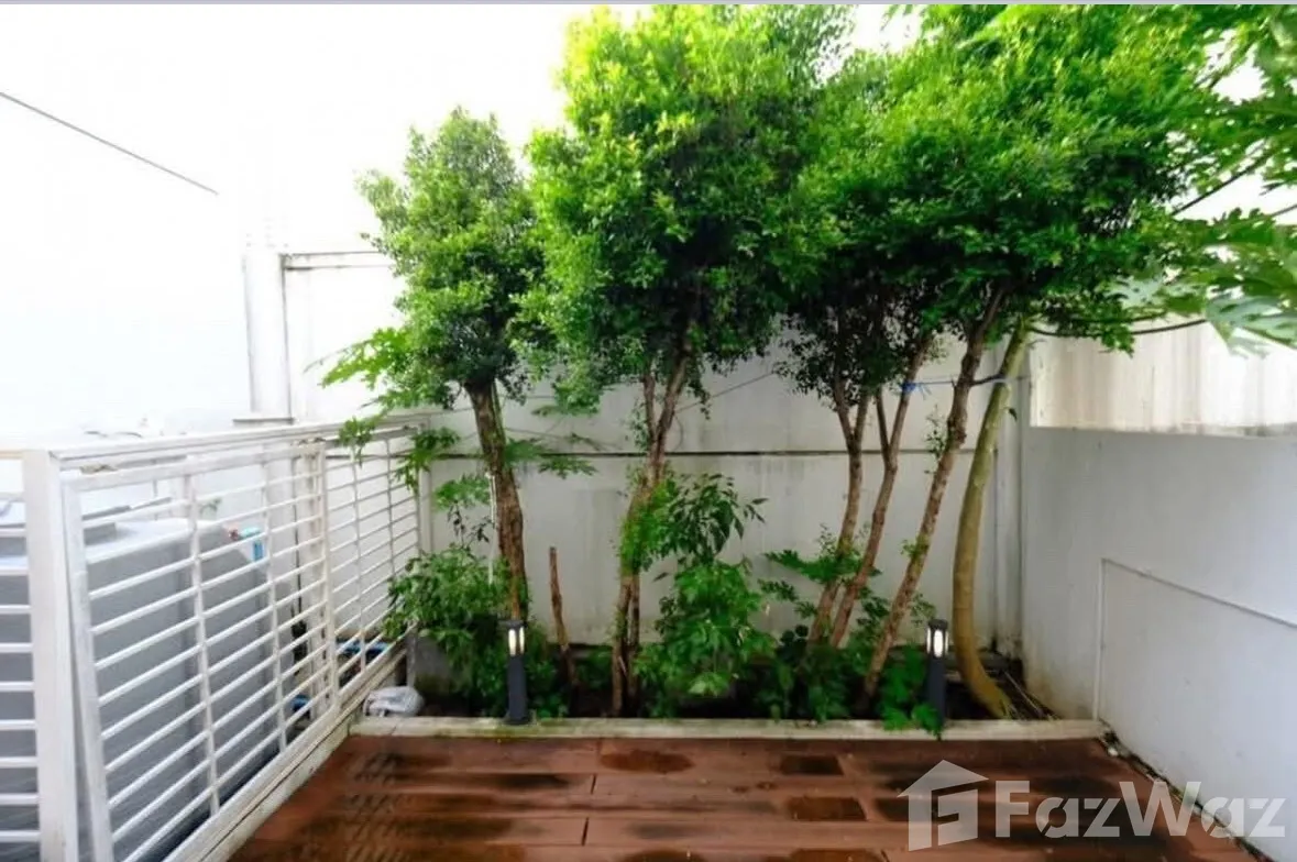 picture For Rent 5826836 - 24/25
