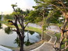 listing thumbnail image 10