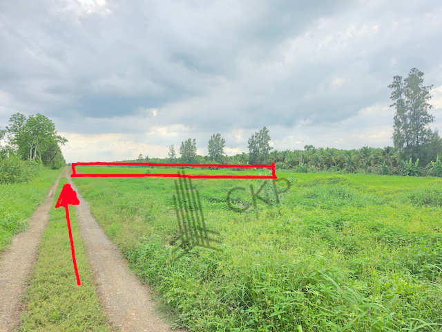 รูป ขาย ที่ดินเปล่า ขนาด 2 ไร่ 259 ตร.วา เหมาะสำหรับทำการเกษตร ปลูกบ้านพักอาศัย โกดังจัดสรร | 93359 - รูปที่ 4/10