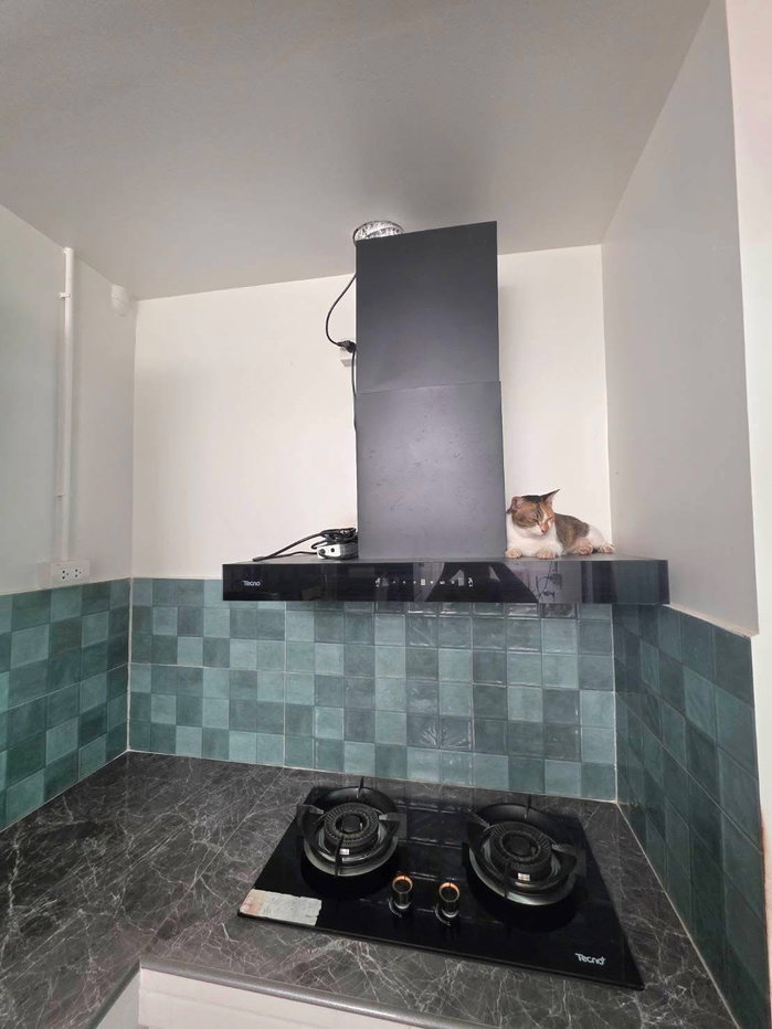 รูป 🏡✨ ให้เช่าให้เช่าทาวน์โฮม Pleno ติวานนท์ 3 ห้องนอน 2 ห้องน้ำ เฟอร์ครบ พร้อมอยู่ บ้านทิศใต้ ลมดี 🐶🐱เลี้ยงสัตว์ได้ - รูปที่ 5/9