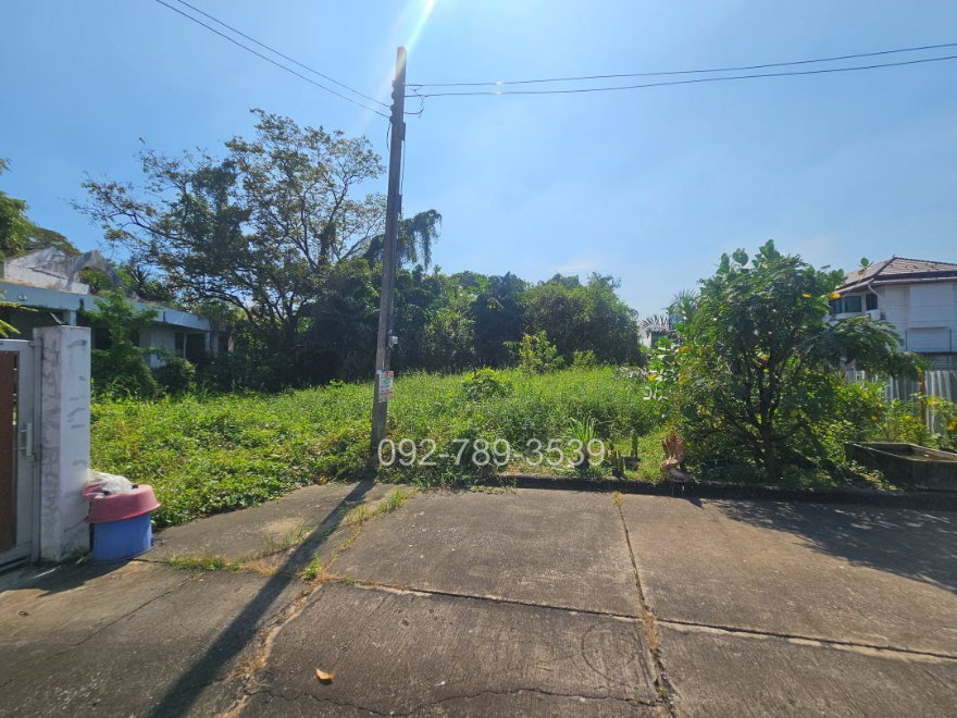 รูป ขายที่ดินบางระมาด ตลิ่งชัน ถนนพุทธมณฑลสาย2 ซอย24 ซอยพัฒนา 89 ตร.วา - รูปที่ 6/19