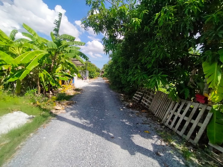รูป ขายที่ดิน เพชรเกษม 88 เขตบางแค ใกล้เดอะมอลล์บางแค - รูปที่ 9/11
