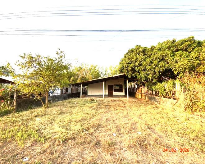 picture HOME 128 Sq.w. Nongkai for 2.5M - 1/32