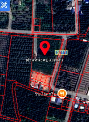 ที่ดิน อัมพวา สมุทรสงคราม :  ขายด่วน! ซื้อปุ๊บ กำไรปั๊บ   ที่ดินราคาดีที่สุดในโซนท่าคา - อัมพวา