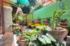 listing thumbnail image 11