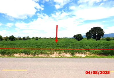 Land for sale Hang Chat Lamphang : LAND 63787 Sq.w. Hang Chat Lamphang for 28.7M