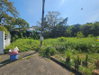 listing thumbnail image 18