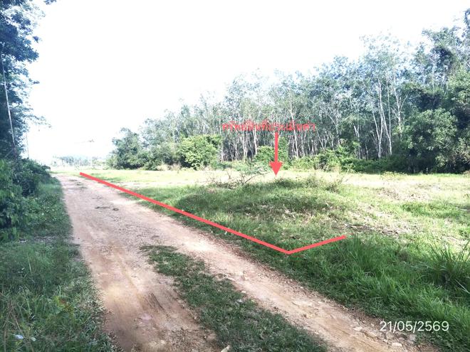 รูป ที่ดินว่างเปล่า 461.5 ตร.วา หาดใหญ่ สงขลา 1.3M - รูปที่ 2/24